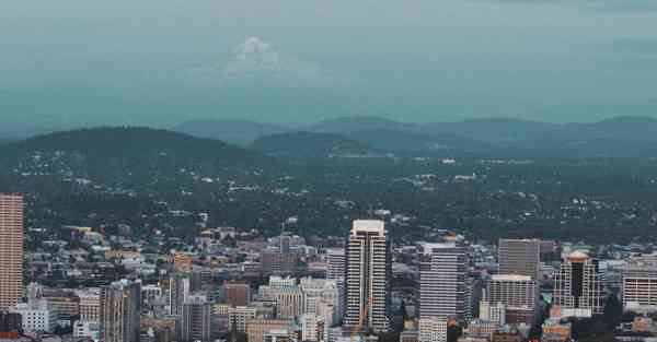 老王永久免费佛系加速器安卓